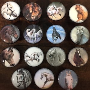 SET OF SIX, 1.5&quot;, horse knobs,cabinet knobs,drawer pulls,black white horses,bay horses,chestnut,horse decor,western knobs,western decor