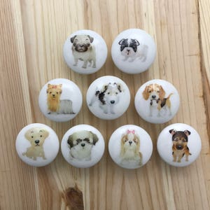 May include: Ten white ceramic knobs with different dog breeds printed on them. The knobs are round and have a white background. The dogs are all in different poses and have different expressions.