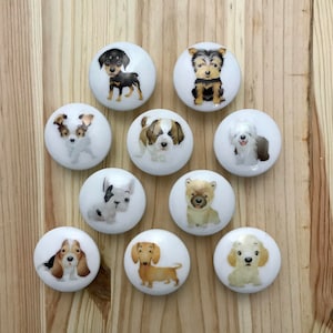 SET OF SIX, 1.5&quot;,Dog knobs,cabinet knobs,drawer pulls,Rottweiler,Yorkie,chihuahua,St. Bernard,sheepdog,French bulldog,chow,Bassett hound