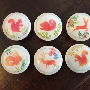 SET OF SIX, 1.5 inch,cabinet knobs,drawer pulls,Orange,animals, bird knobs, cat knobs, horse knobs, dog knobs, white knobs, knobs and pulls