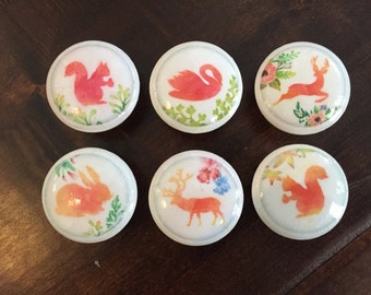 SET OF SIX, 1.5 inch,cabinet knobs,drawer pulls,Orange,animals, bird knobs, cat knobs, horse knobs, dog knobs, white knobs, knobs and pulls