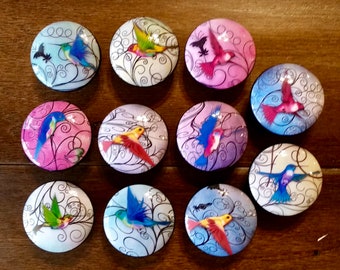 SET OF SIX, 1.5",hummingbird knobs,black knobs,cabinet knobs,drawer pulls,silver embellishments,bird knobs,hummingbirds,colorful knobs