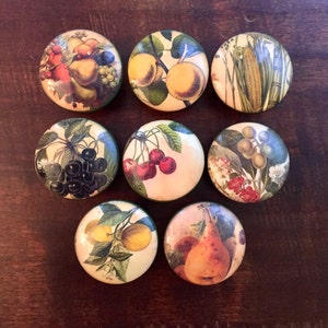 Op de afbeelding: Acht ronde, keramische knoppen met een groene rand en een vintage-stijl fruit illustratie op elk. De illustraties omvatten peren, citroenen, kersen, druiven, maïs en bessen.
