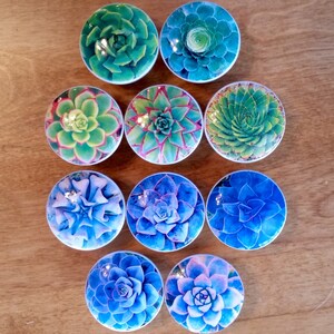 Può includere: Dieci pomelli rotondi in ceramica con immagini di piante grasse in tonalità di verde e blu. I pomelli hanno un diametro di circa 5 cm.