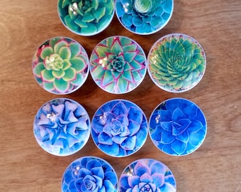 May include: Ten round ceramic knobs with images of succulents in shades of green and blue. The knobs are approximately 2 inches in diameter.
