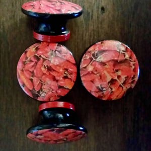 SET OF SIX, 1.5",chili peppers,cabinet knobs,drawer pulls,red knobs,black,white,chili pepper kitchen decor,red chili peppers
