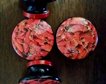 SET OF SIX, 1.5",chili peppers,cabinet knobs,drawer pulls,red knobs,black,white,chili pepper kitchen decor,red chili peppers