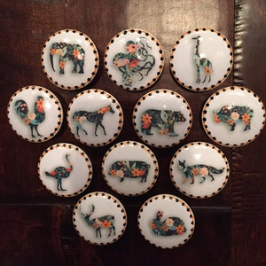 May include: Twelve round, white ceramic knobs with black trim and floral designs featuring various animals, including an elephant, octopus, giraffe, rooster, horse, bear, pig, ostrich, pig, fox, deer, and rabbit.