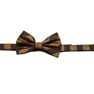 Fabio Farini bow tie