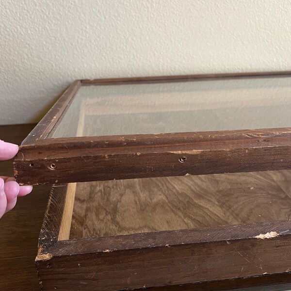 Vintage Display Case Etsy