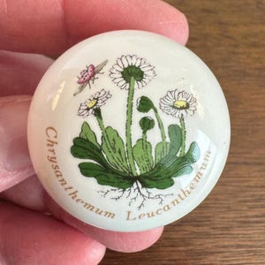 May include: A round, white ceramic knob featuring a botanical illustration of daisies, green leaves, and a small insect. The text "Chrysanthemum Leucanthemum" is printed around the edge of the knob.
