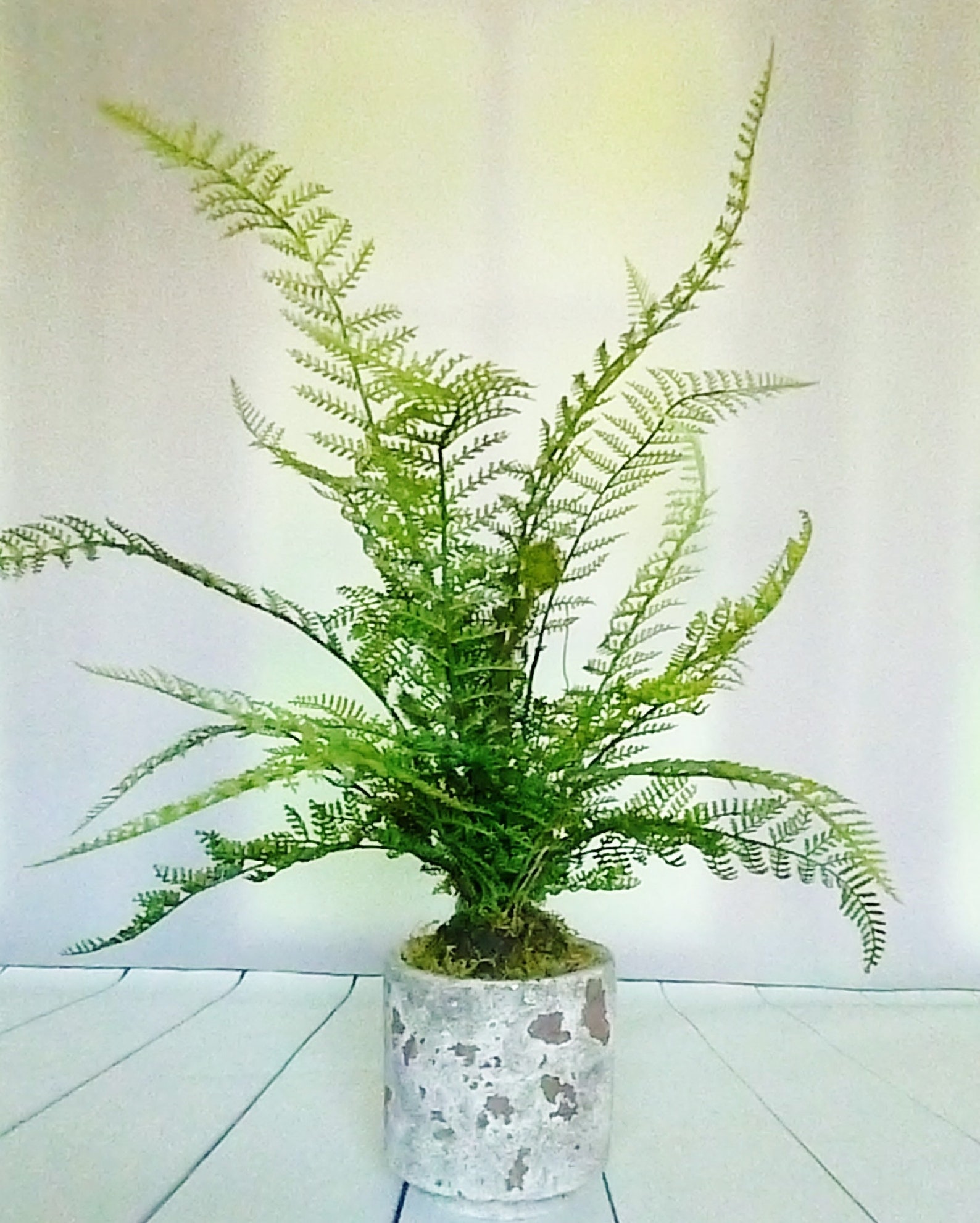 Artificial Fern Fake Fern Plants Artificial Plants Fake Plants Etsy