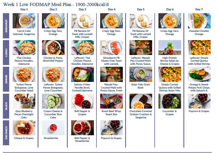 28 Day Low FODMAP Meal Plan | Etsy