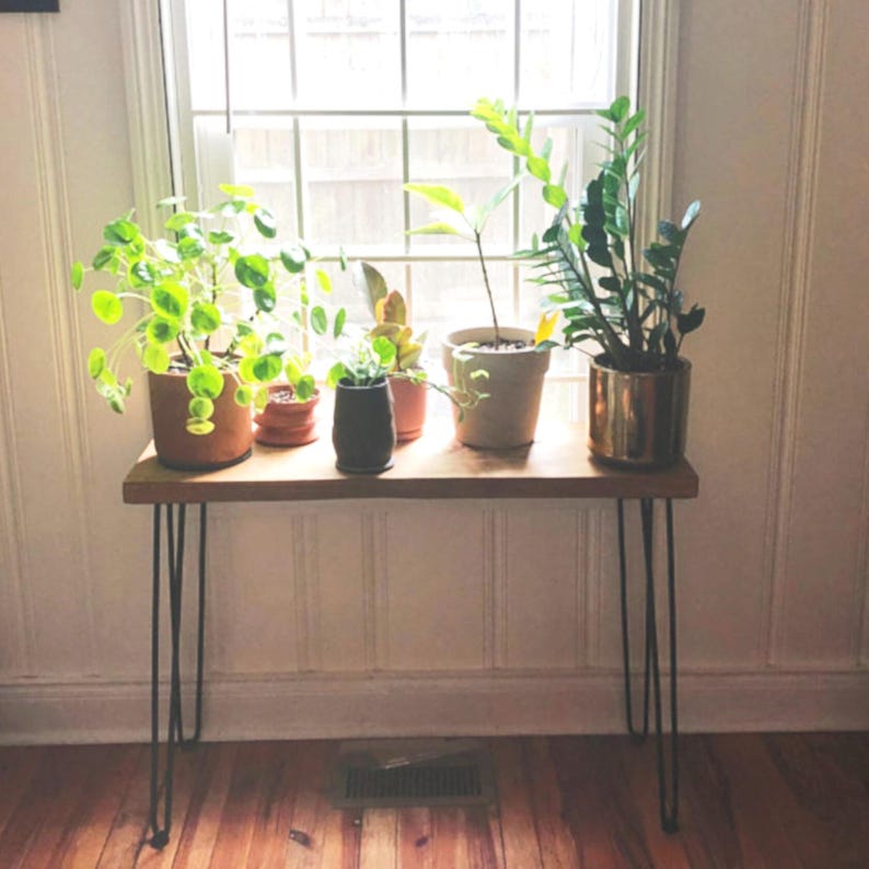 May include: A wooden console table with black hairpin legs, holding several potted plants in front of a window. The plants include a variety of green foliage, and the pots are in various colors and sizes. The table is made of light-colored wood.