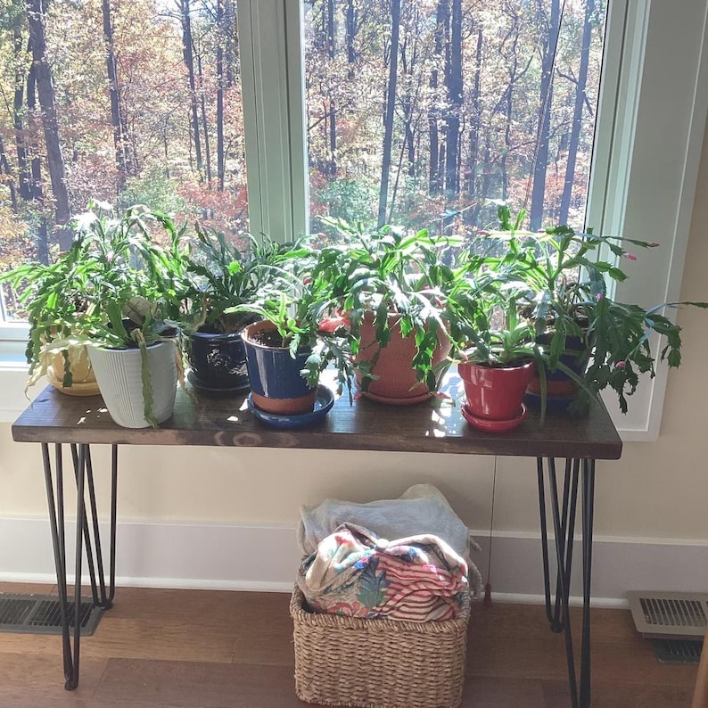 May include: A wooden table with hairpin legs supports several potted plants in front of a window. The plants are in various ceramic pots, including white, blue, and red. A woven basket with blankets sits below the table.
