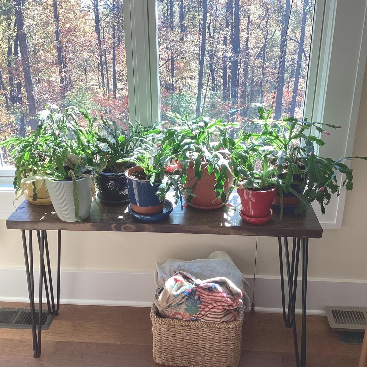 Plant Bench Indoor - Etsy