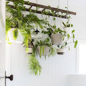 Farmhouse Ladder Pot Rack: Rustic Wood Stained Plant Holder, Various Colors