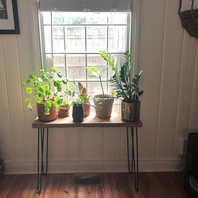 May include: A wooden console table with black hairpin legs, holding several potted plants in front of a window. The plants vary in size and type, with green foliage. The table is made of light-colored wood.