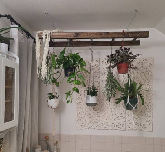 Wooden ladder online plant hanger