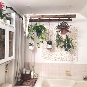 May include: A dark brown wooden ladder suspended from the ceiling by metal chains, functioning as a rack for hanging various potted plants. The plants include trailing green vines and leafy foliage in assorted ceramic and plastic containers.