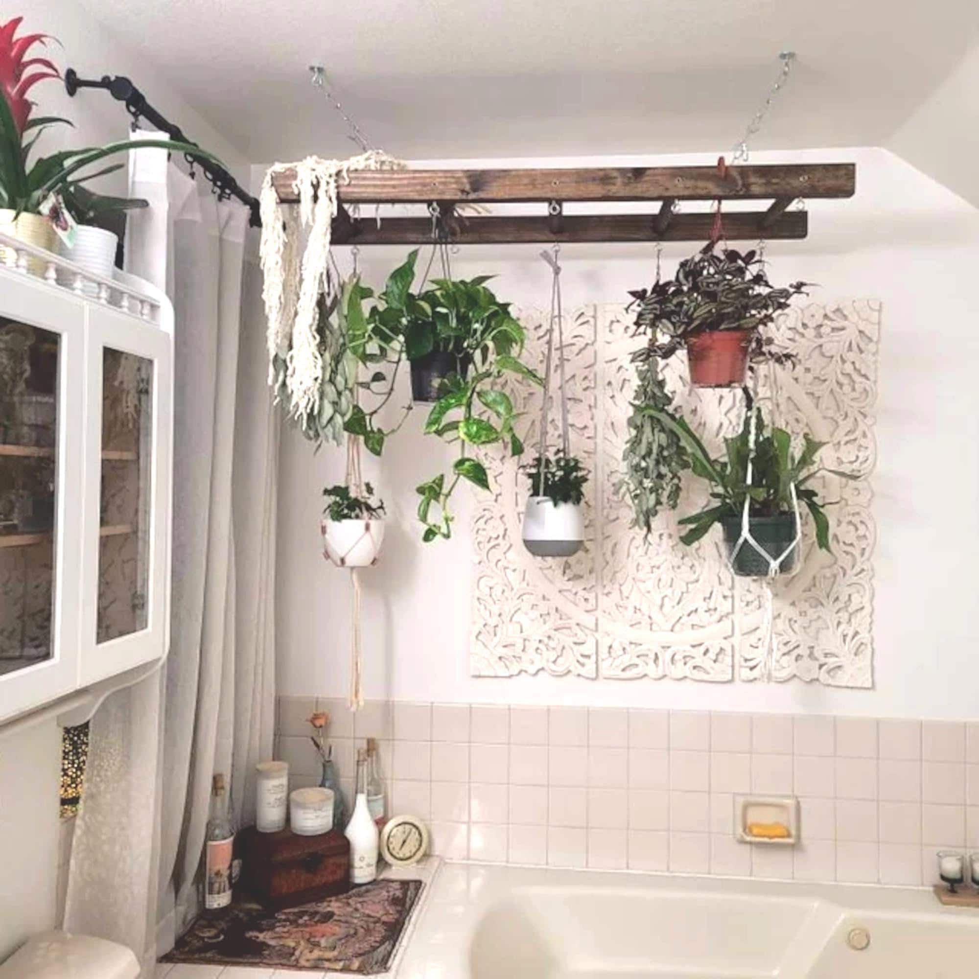 Walnut Stained Farmhouse Ladder Pot Rack: Kitchen Island Plant