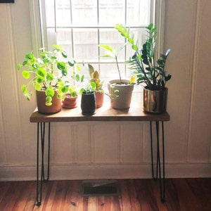 Plant Bench Etsy