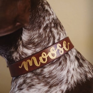 Handmade Leather Dog Collar | Custom Dog Collar | Leather Collar