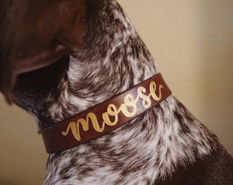 Handmade Leather Dog Collar | Custom Dog Collar | Leather Collar