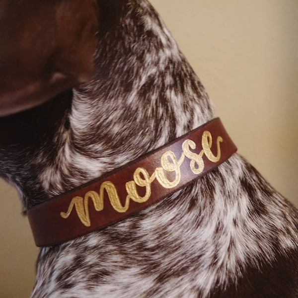 Handgefertigt Leder Hundehalsband | Personalisiertes Hundehalsband Halsband aus Leder