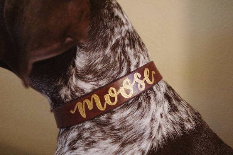 Custom Leather Dog Collar 