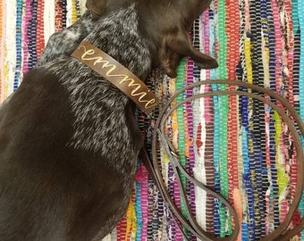 Personalized Leather Dog Collar and Leash