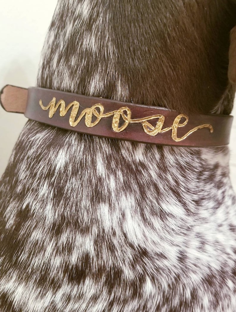 Custom Leather Dog Collar Etsy
