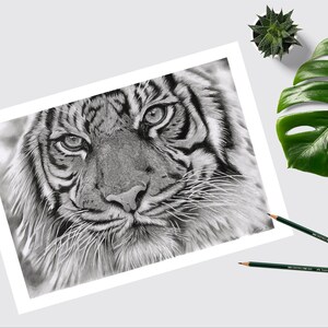 TIGER ART PRINT Original Hand-Drawn pencil - Wall Art - Tiger lover gift - home decor Black and white