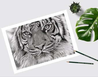 TIGER ART PRINT Original Hand-Drawn pencil - Wall Art - Tiger lover gift - home decor Black and white