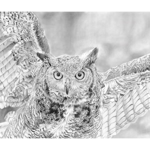 LIMITED EDITION OWL print | Owl drawing | Black and white owl wall art | Owl decoration | Bird of prey artwork