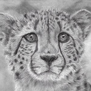 ÉDITION LIMITÉE Guépard | Impression d'oeuvres d'art dessinées à la main | Organisation caritative | Petit guépard | Illustration de gros chat en voie de disparition
