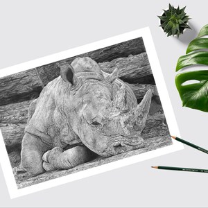 KUNSTDRUCK Original Nashorn Handgezeichneter Bleistift - Wandkunst - Tierliebhaber Geschenk - Home Dekor Nashorn Bild