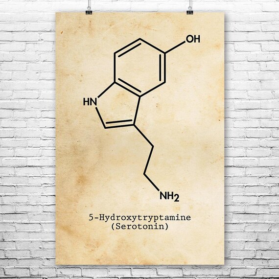 Serotonin Molecule Poster Print Serotonin Art Biologist | Etsy