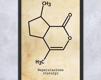 Framed Nepetalactone Catnip Molecule Wall Art Print, Catnip Art, Cat Lover Gift, Veterinarian Gift, Pet Shop Decor, Cat Groomer Gift