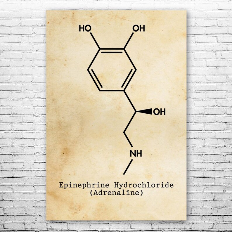 Adrenaline Molecule Poster Print, Biology Teacher Gift, Psychiatrist Gifts, Neurochemistry Art, Science Class Decor, Biology Student image 1