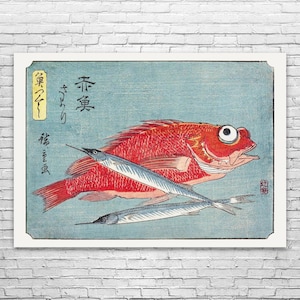 Red Snapper & Halfbeak Ukiyo-e Wall Art: Food Art, Fish Decor
