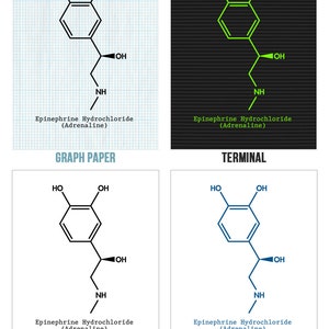 Adrenaline Molecule Poster Print, Biology Teacher Gift, Psychiatrist Gifts, Neurochemistry Art, Science Class Decor, Biology Student image 4