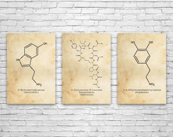 Neurotransmitter Molecules Wall Art Set of 3: Serotonin Art, Biologist Gifts