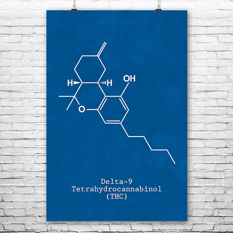 LSD Molecule Poster Print Acid Tests Psychedelic Rock Hippy Culture Stoner Gift