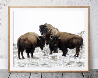 dakota bison print etsy