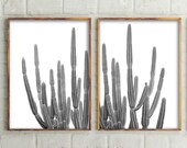 Set Of 2 Cactus Prints, Black and White Photography, Cactus Wall Art, Cactus, Black and White, Cactus Print, Wall Art, Prints, Australia