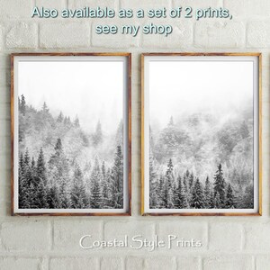 Set Of 2 Forest Prints, Scandinavian Wall Art, Forest Photography, Canadian, Forest Art Print Landscape Photography Print Green Forest Print image 5
