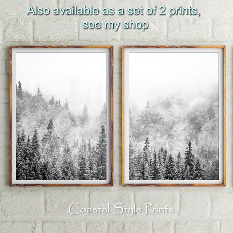 Set Of 2 Forest Prints, Scandinavian Wall Art, Forest Photography, Canadian, Forest Art Print Landscape Photography Print Green Forest Print image 5