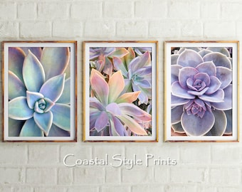 Cacti Wall Decor, Pastel Wall Art Prints, Set Of 3 Prints, Cactus Print, Cactus Photography,Botanical Print Set,Printable Art,Succulent Set