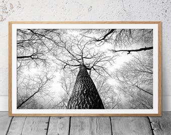 Winterbäume Druck, Landschaftsdruck, digitaler Download, Schwarz-Weiß-Fotografie, Panorama-Kunstdruck, Büro-Wandkunst, Drucke, Bäume, Herbst